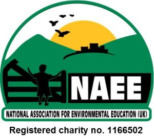 New_NAEE_charity_logo