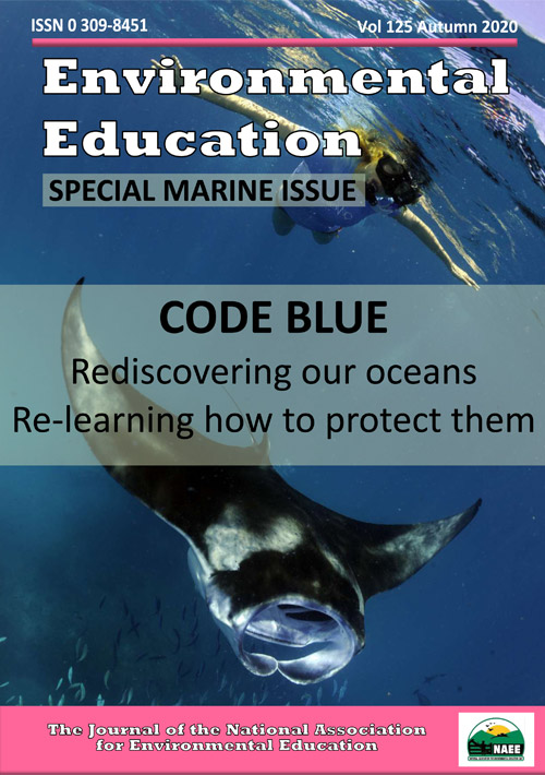 NAEE Autumn Journal 2020