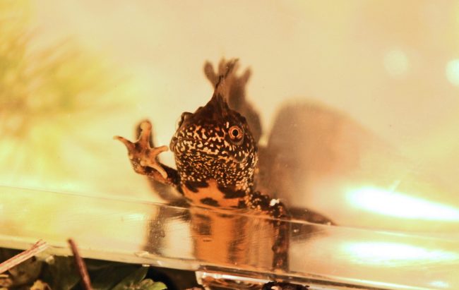 PHOTO – Let’s Make our Voices Heard at COP26 – MT