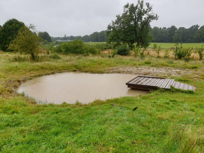 PHOTO-Ponds-Against-Climate-Change-MT